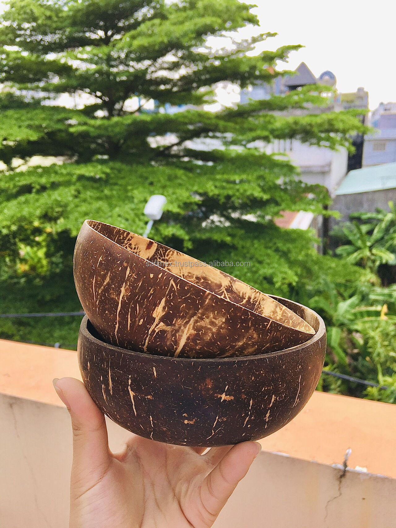 Real coconut shell bowl polished cheapest price with customized packaging from Vietnam/Coconut shell bowl for smoothie 2023