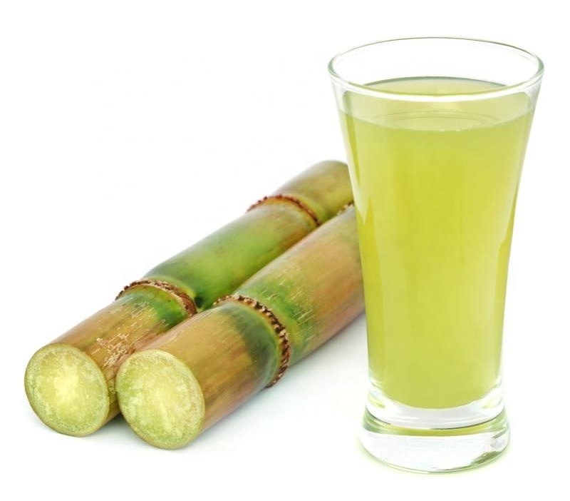 Tropical Fresh Sugar Cane For Summer Drink / Frozen Sugarcane Stick for Refresh Fruit Juice OEM Bulk Packing