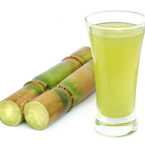 Tropical Fresh Sugar Cane For Summer Drink / Frozen Sugarcane Stick for Refresh Fruit Juice OEM Bulk Packing