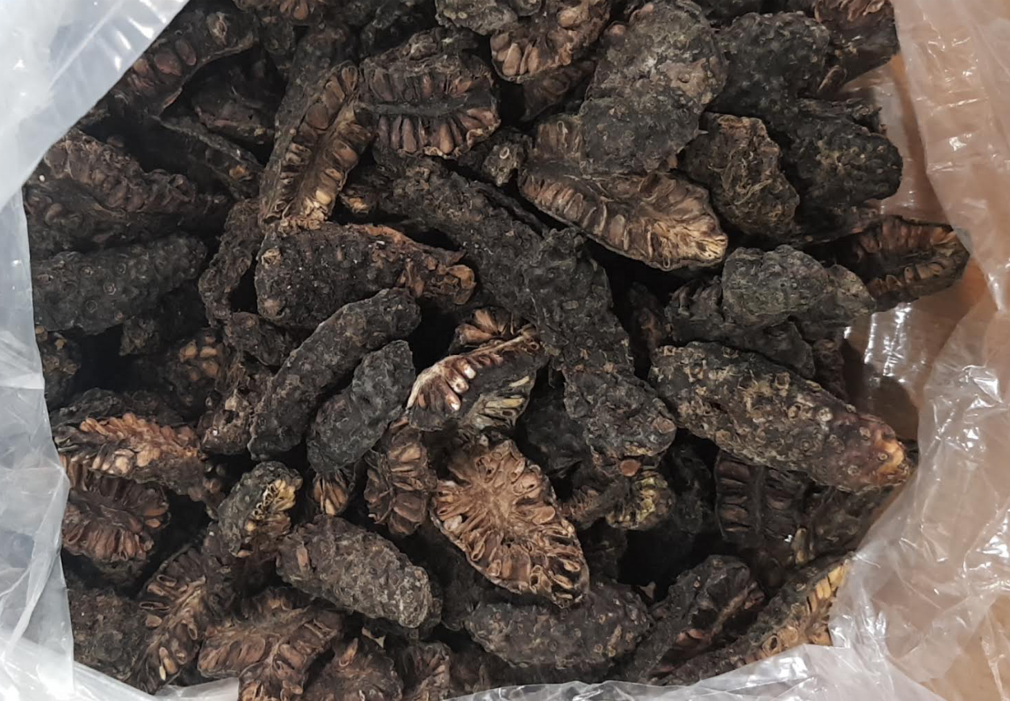 Vietnamese Dried Noni Fruit For Herbal Drink / Dried Noni For Making Soap OEM Bag Bulk Packing