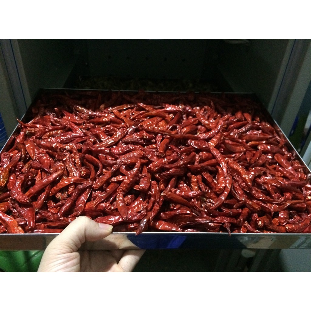 Wholesale dried hot chili good price from Vietnam/Dried spicy red chili cheapest price 2023/Vietnamses dried red chillies