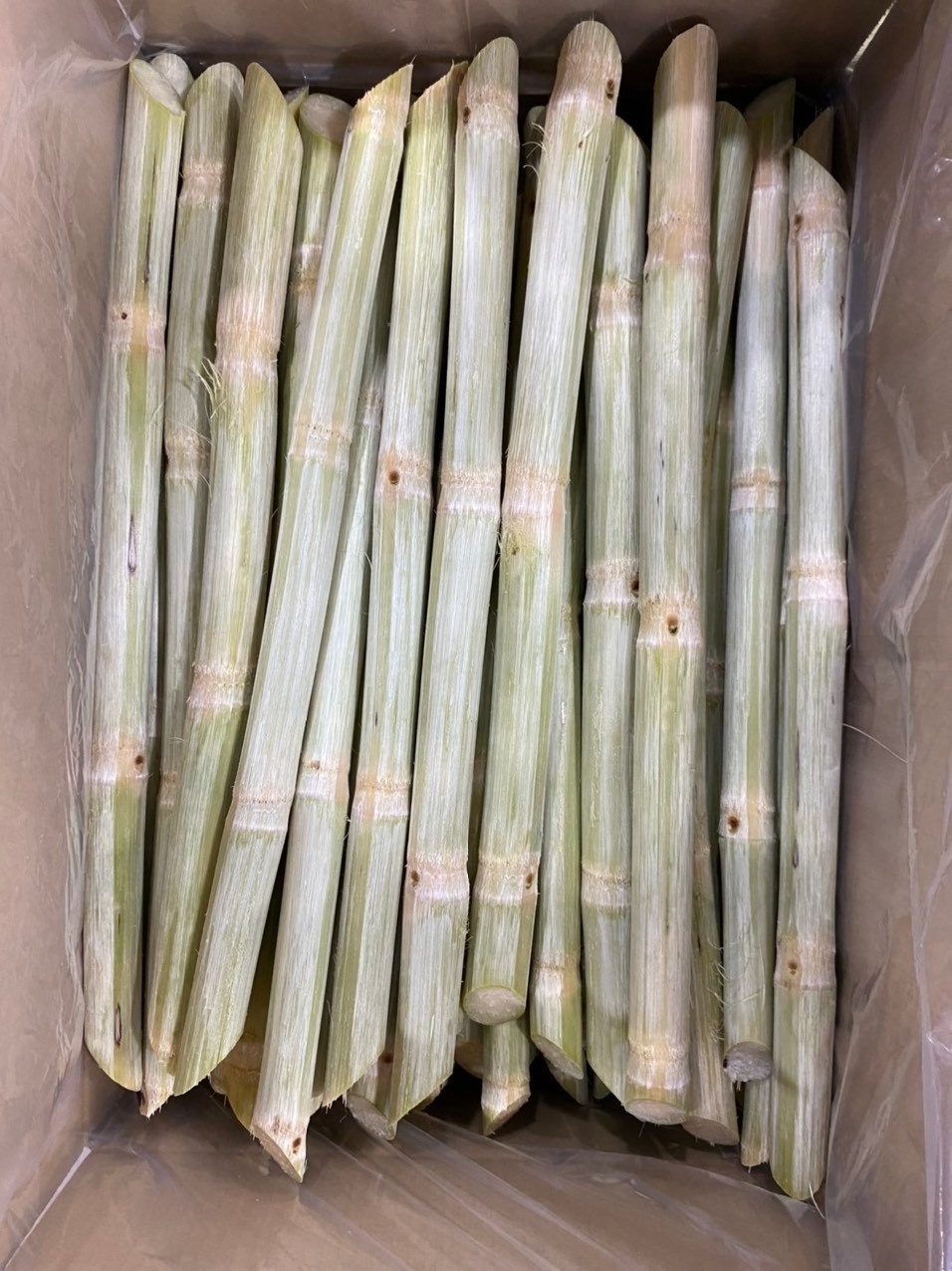 Tropical Fresh Sugar Cane For Summer Drink / Frozen Sugarcane Stick for Refresh Fruit Juice OEM Bulk Packing