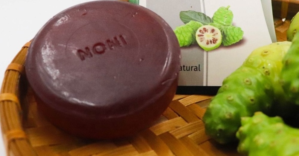 Dried Noni Fruit For Herbal Tea and Detox Drink / Noni Fruit For Making Soap OEM Bulk Packing