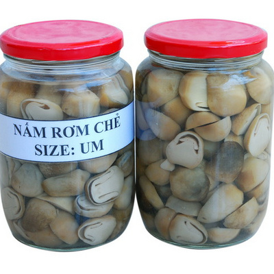 Canned straw mushroom best price from Vietnam