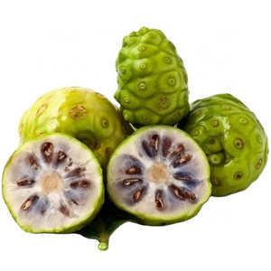 Vietnamese Dried Noni Fruit For Herbal Drink / Dried Noni For Making Soap OEM Bag Bulk Packing