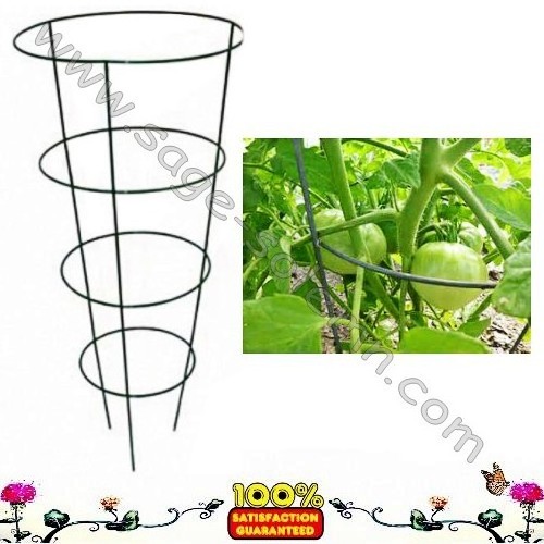 China Manufacture Powder Coated Strong Wire Cone Tomato Cage/Tomato Support Cage/Tomato Cage support Ring