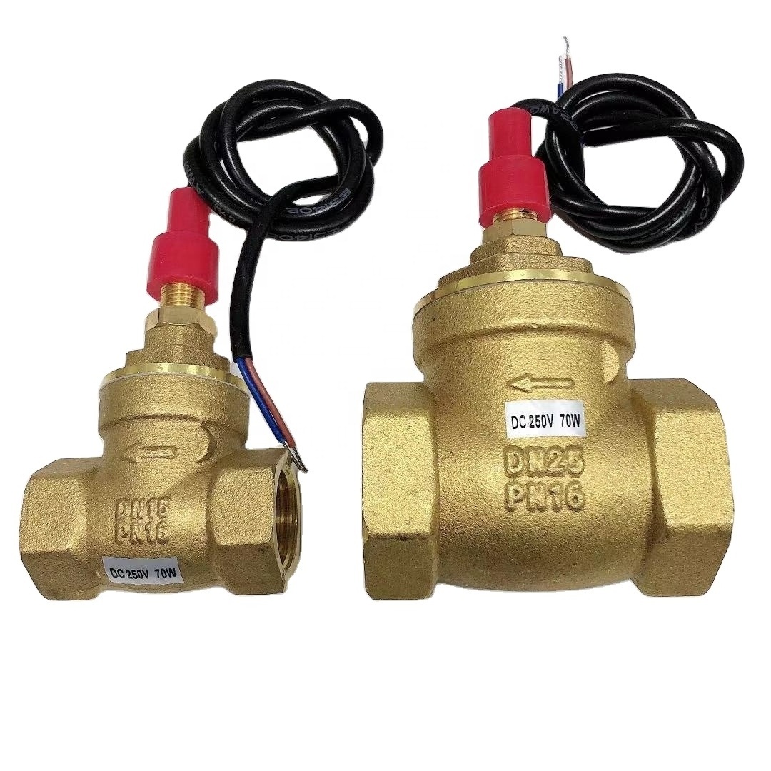 70W 220V  Magnetic Electronic Flowmeters Brass Flow Switch DN25  Water Pump Water Flow Switch