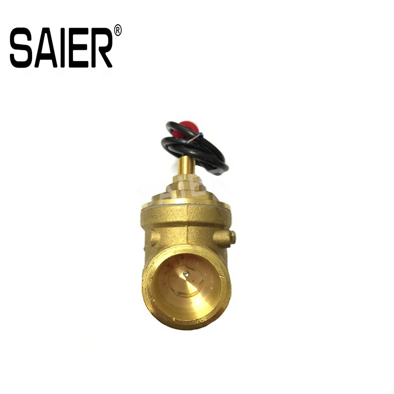 70W 220V  Magnetic Electronic Flowmeters Brass Flow Switch DN25  Water Pump Water Flow Switch