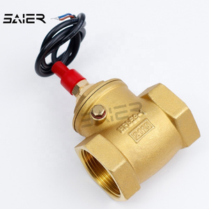 1/2 Inch Water Flow Switch Apply to Water Pump DN25 Brass Reed Flow Switch Baffle Type Flow Switch