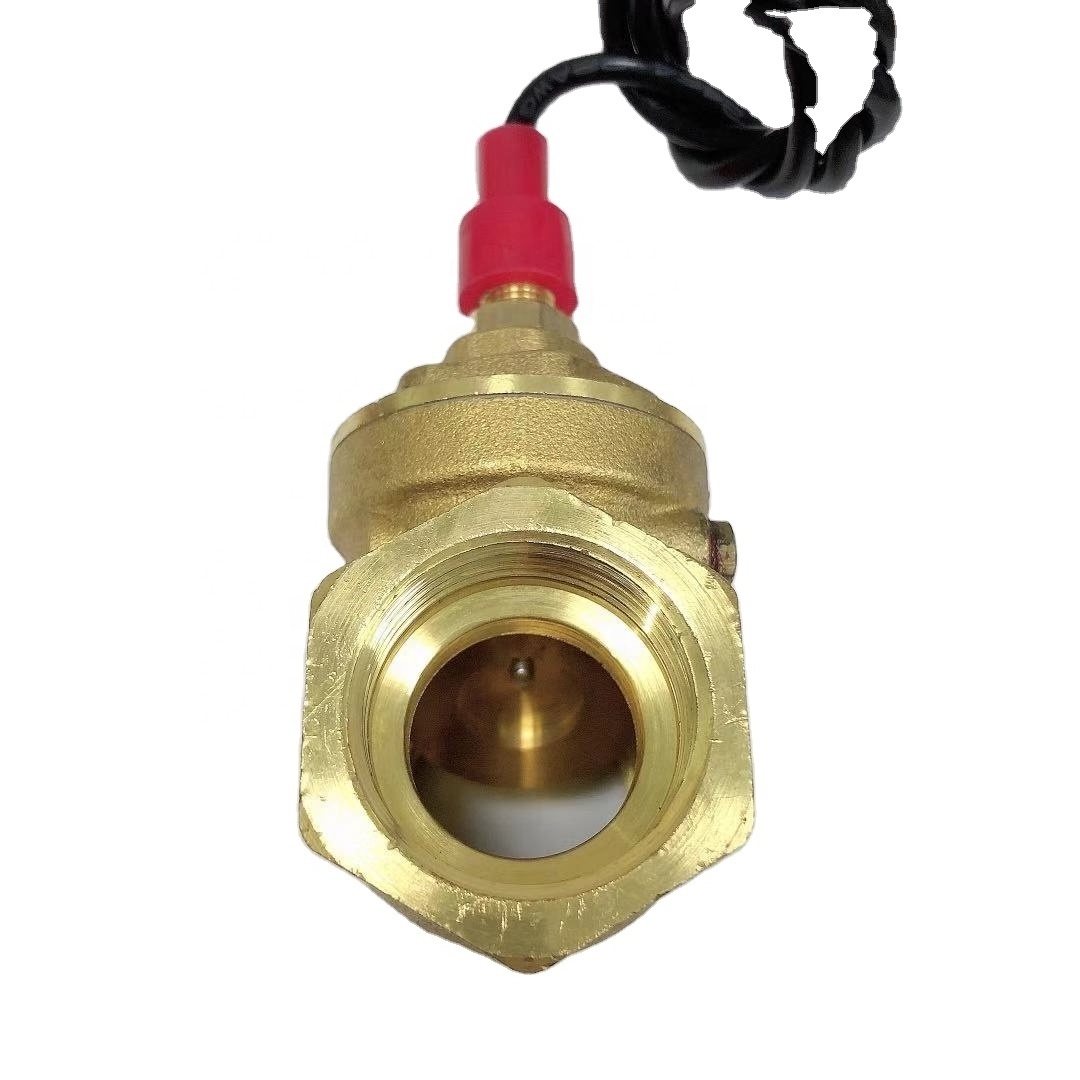 1/2 Inch Water Flow Switch Apply to Water Pump DN25 Brass Reed Flow Switch Baffle Type Flow Switch