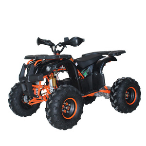 4000w Adult Electric Quad Atv 5000w 6000w Electric Atvs 4x4 for Adults Color 60V Automatic Quad Bike 250cc 4WD 125CC Atv 250 Cc