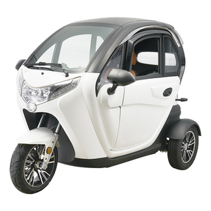 Fully Enclosed Mobility Motor Bike with Cabin Three Wheels Cargo Electric Tricycle Motorcycle Rickshaw Black Lithium 60V Closed