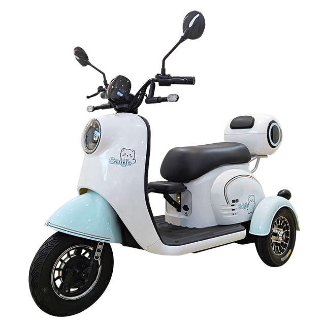 3 Wheel Passenger Tricycle Two Seat 48v Electric Tricycle Bike For Adults And Old People