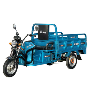 600W/800W/1000W Electric Tricycle Bike Cheap Electric Tricycle For Adults