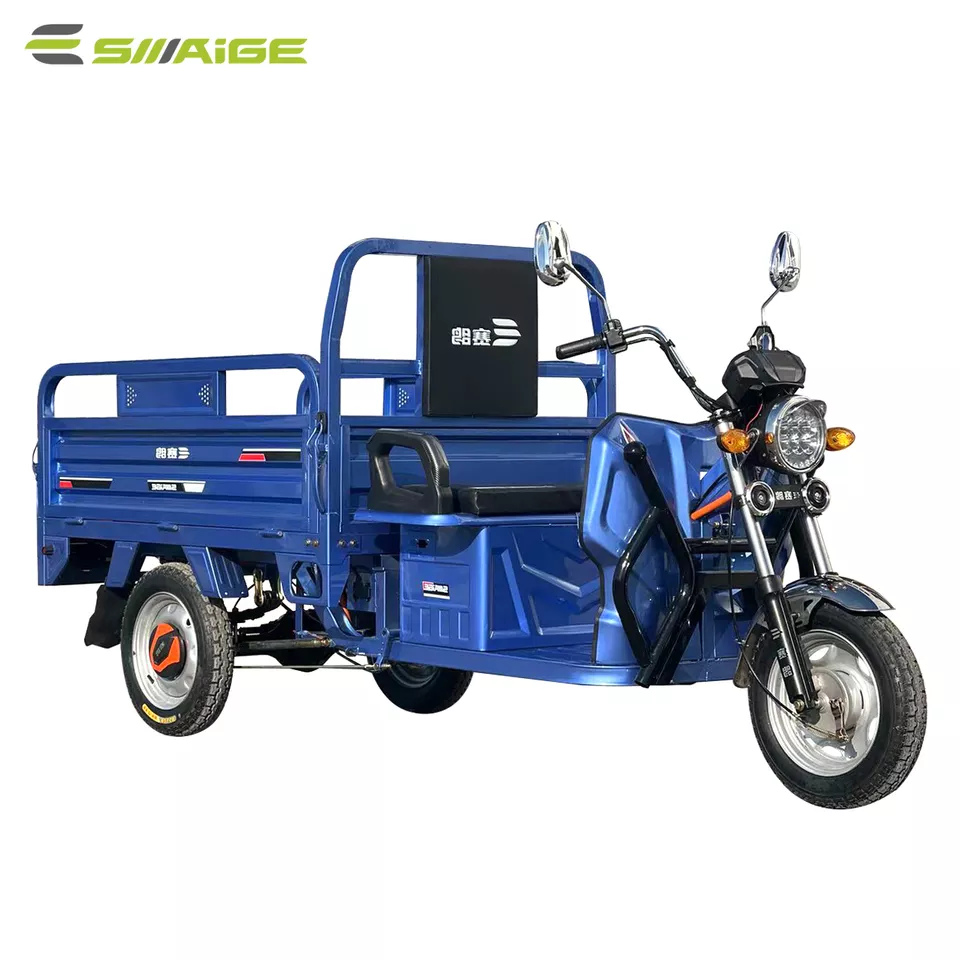 Wholesale EEC 25KM/H 45KM/H Good quality tricycle 300-10 Tires electric tricycle 100-130km tricycle electric