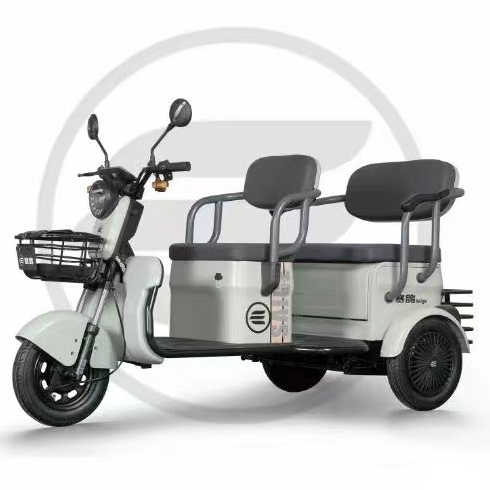 200KGS load electric trike 48v 500W 750W 3 wheel fat tire electric cargo bike tricycle 20inch electric trike