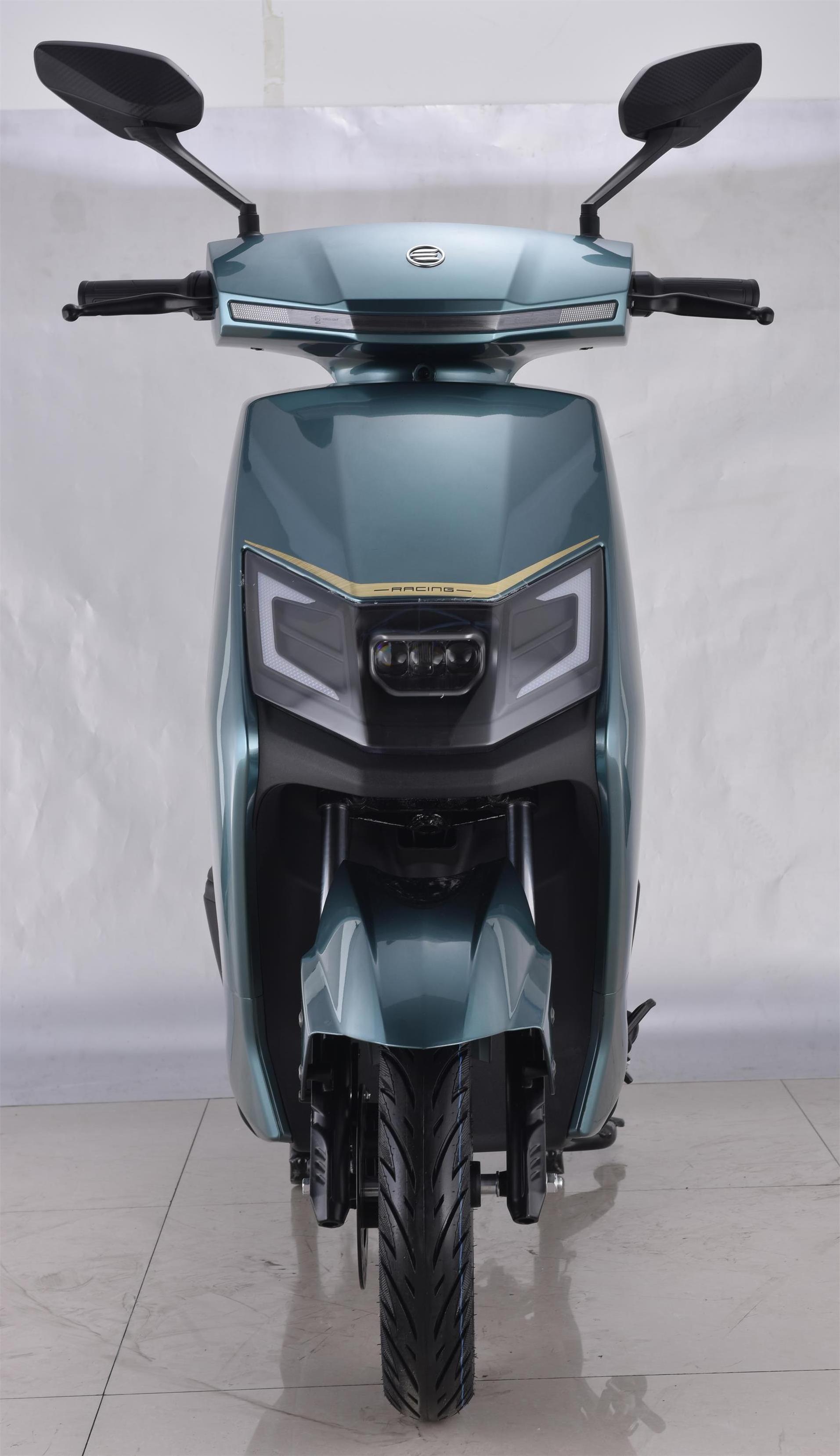 EEC Saige China manufacturers supply most popular adult motorcycle electric bike