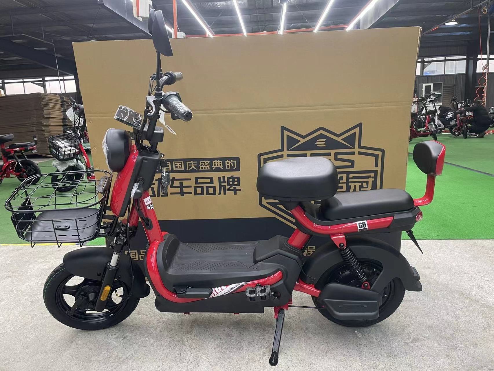 Saige Factory Wholesale High Quality Good Price E Bike Teenager Electric Bicycle EEC Electric Scooter