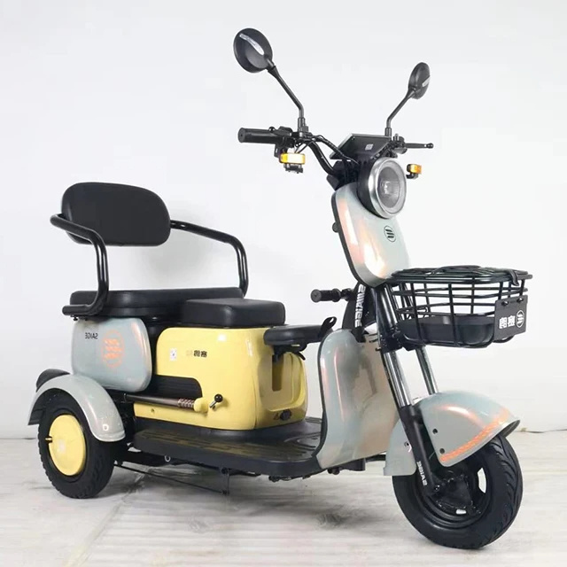 SAIGE Electric tricycle 60v800w motor kit adult motorized trike gas motorcycle 3 wheel for kids with seat scooter concrete truck