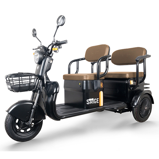 200KGS load electric trike 48v 500W 750W 3 wheel fat tire electric cargo bike tricycle 20inch electric trike