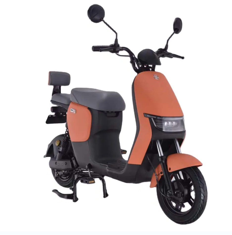 EEC COC Europe market Attractive Price E Bikes 2024 Electric City scooter electric bike for two people 72v adults