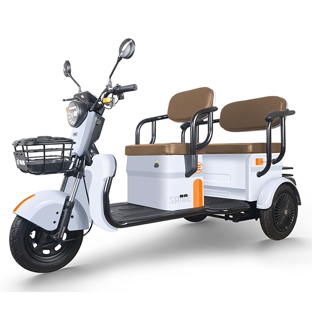 200KGS load electric trike 48v 500W 750W 3 wheel fat tire electric cargo bike tricycle 20inch electric trike