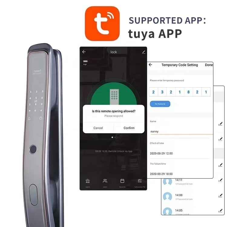 Pull Push Tuya App Control Fingerprint Smart alarm Wireless Wifi Door Lock For Interior Door cerradura inteligente