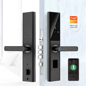 Smart Life/TUYA Alexa locks handle electric password digital smart  Ttlock fingerprint door lock cerradura inteligente