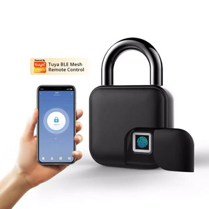 2022 Hot Sale Intelligent Digital Small Lock APP Alarm Biometric Tuya Smart Fingerprint Pad lock