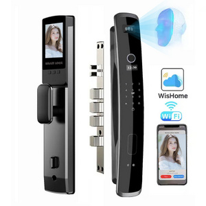 2024 oem manufacture front 3d facial recognition face Automatic gate fingerprint smart door lock App control with camera