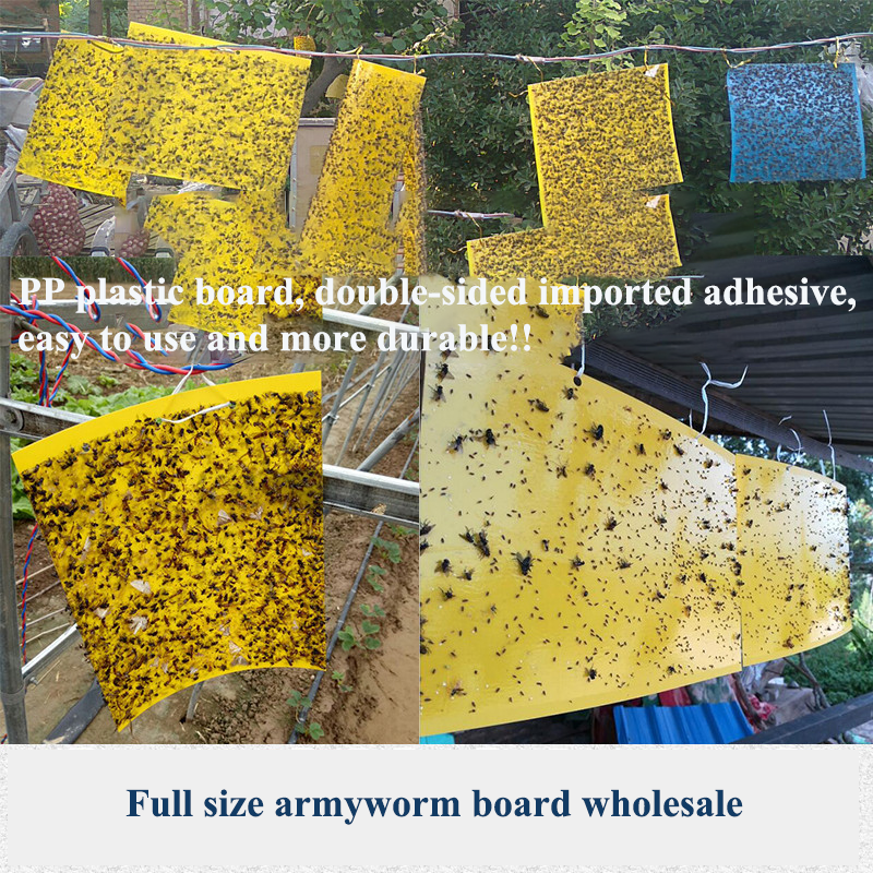 Saijzek OEM/OEM Waterproof insect double-sided Yellow Sticky Fruit Fly Paper Insect Glue Roll Traps