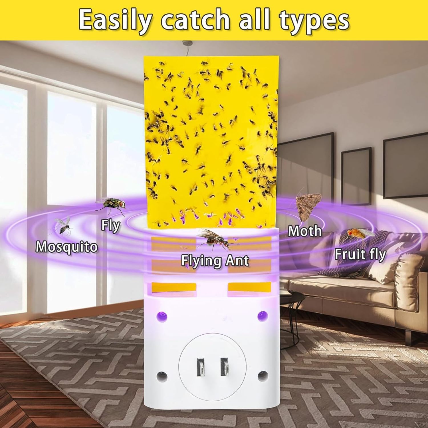 Saijzek Non-Toxic New luxury Flying Insect Trap Gnat Moths Catcher Sticky Fly Catch Trap  Uv Light Fly Trap Indoor