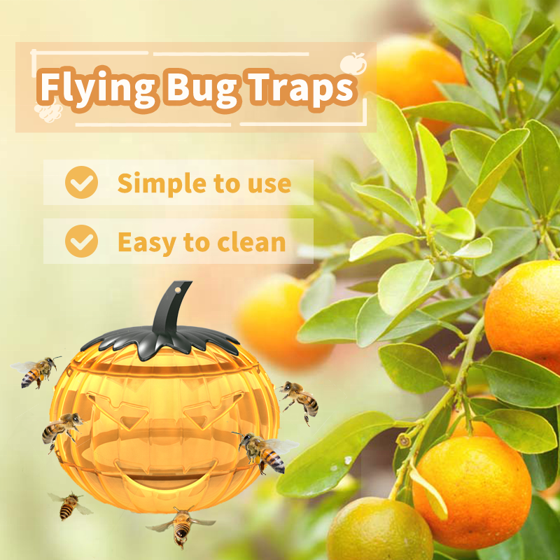 SAIJZEK New Fruit Fly Gnat Pests pumpkin Fly Catcher Indoor Trap Bug Zapper Sticky Wasp Trap House Reusable Flying Insect Killer