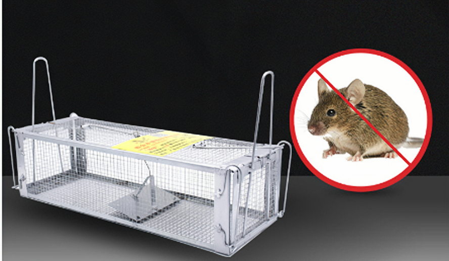 The two-door Wholesale reusable no kill transparent rat traps with handle live mouse cage made of iron mouse trap humane