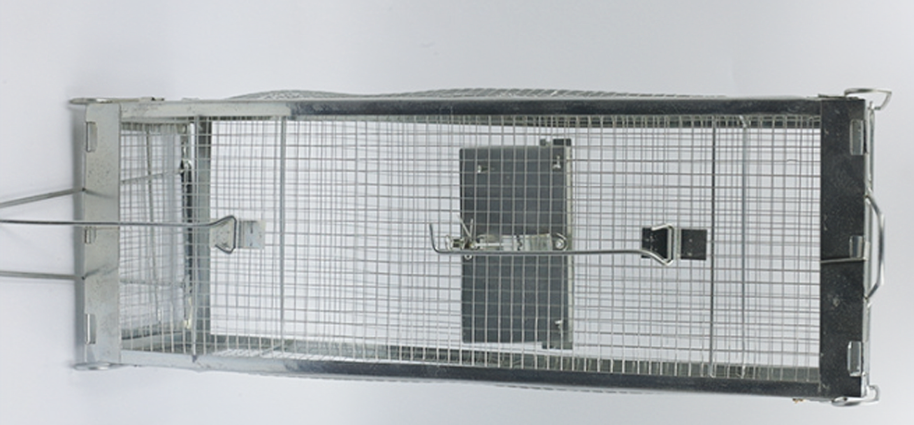 The two-door Wholesale reusable no kill transparent rat traps with handle live mouse cage made of iron mouse trap humane