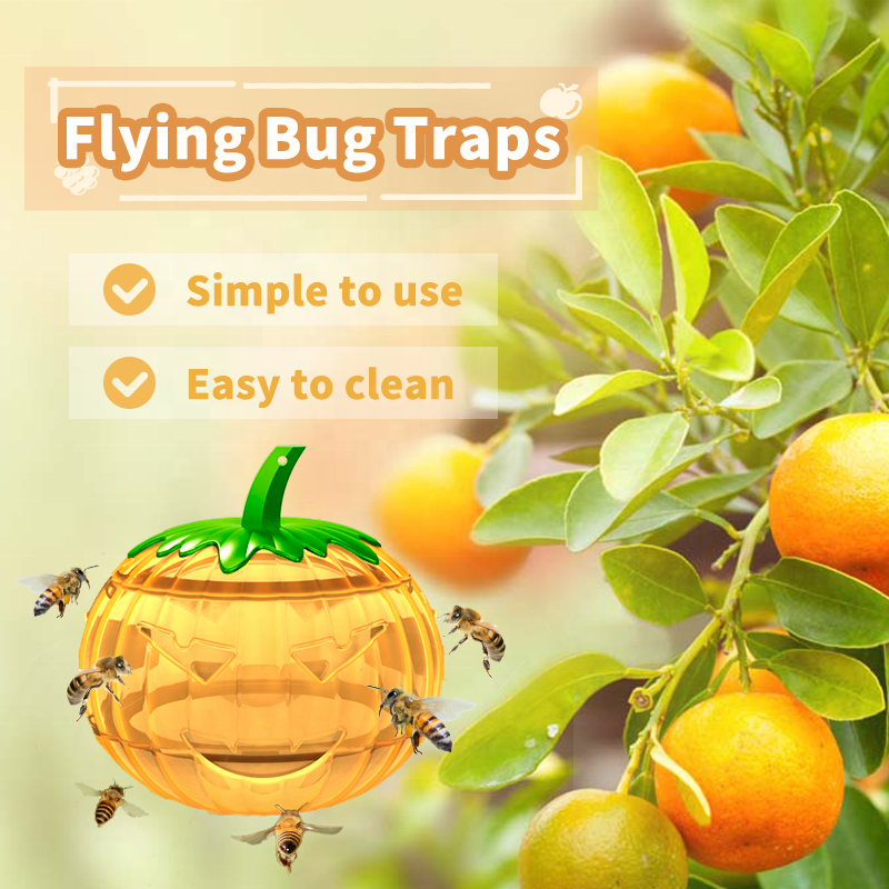 SAIJZEK New Fly Catcher Trap High Effective Fruit Fly Trap and Gnat Trap for indoor and outdoor use