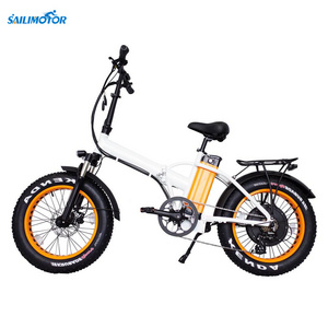 OEM High power 20" Fat Tire  folding foldable ebike fat tire 500watt Electric bike