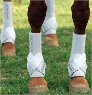 wholesale horse wraps for relentless and Horse Tack Product