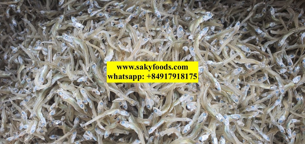 Dried Anchovy / DRY ANCHOVY FISH FOR SALE