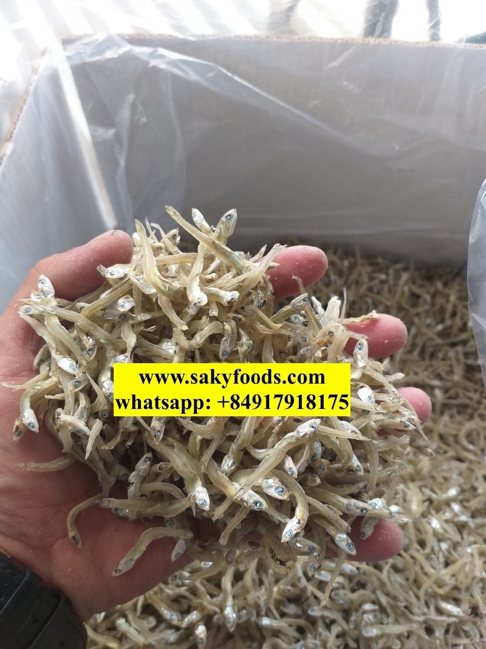 Dried Anchovy / DRY ANCHOVY FISH FOR SALE