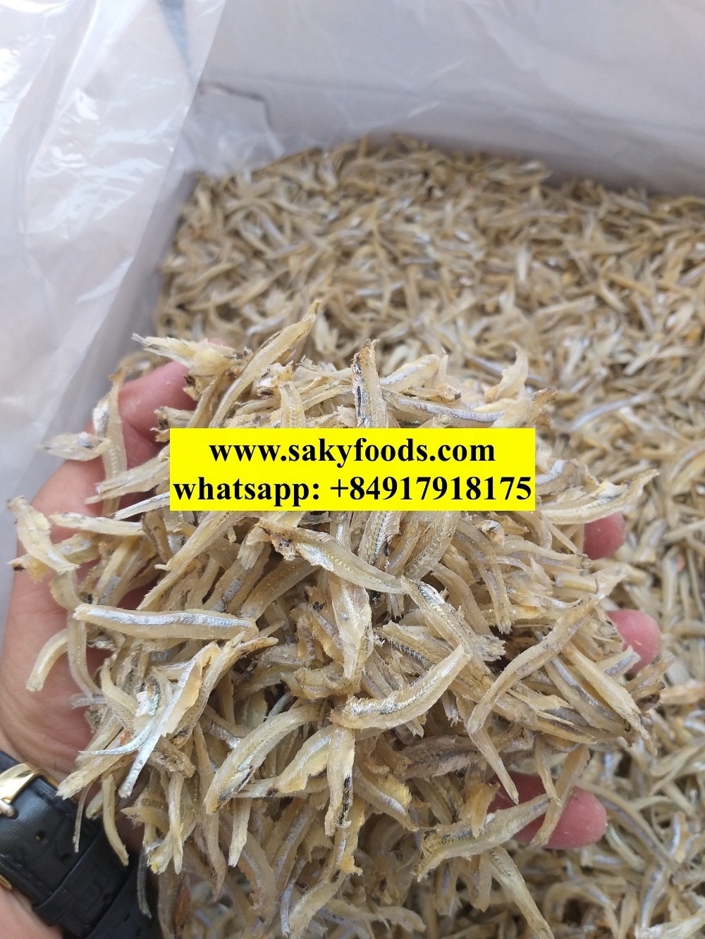 Dried Anchovy / DRY ANCHOVY FISH FOR SALE