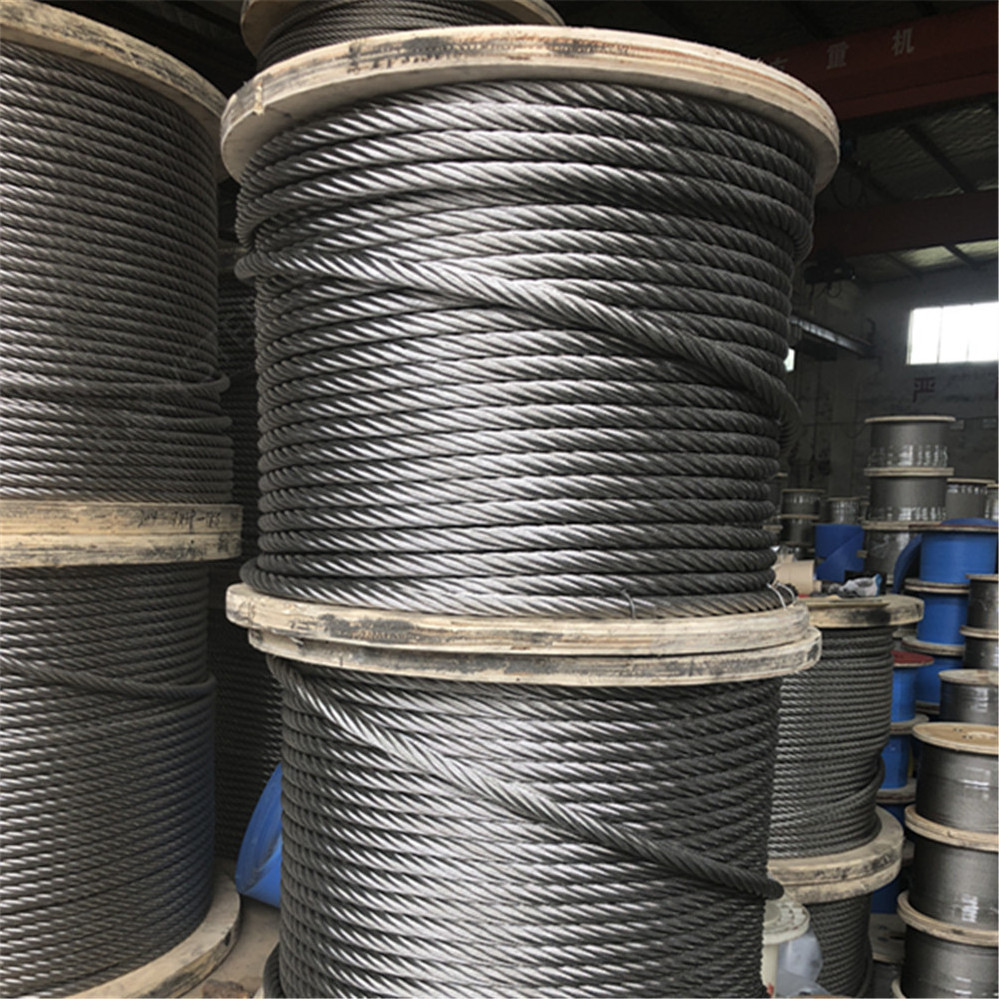 PP/PE/PVC coated 0.5mm 6mm 20mm 25mm 1x19 7x7 7x19 AISI304 316 316L Stainless Steel Wire Rope/Cable