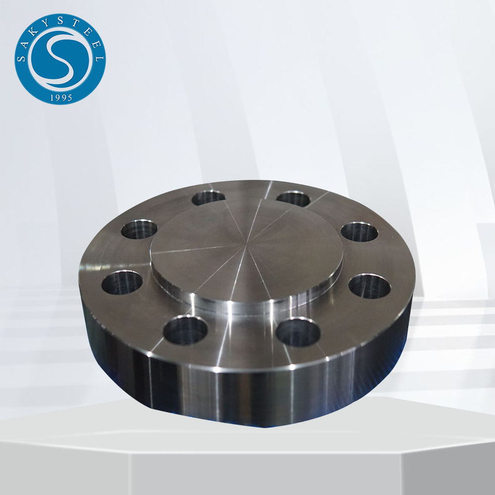 ASTM A182 304 Blind Flanges