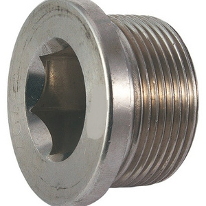 Metric DIN 908 Socket Pipe Plug