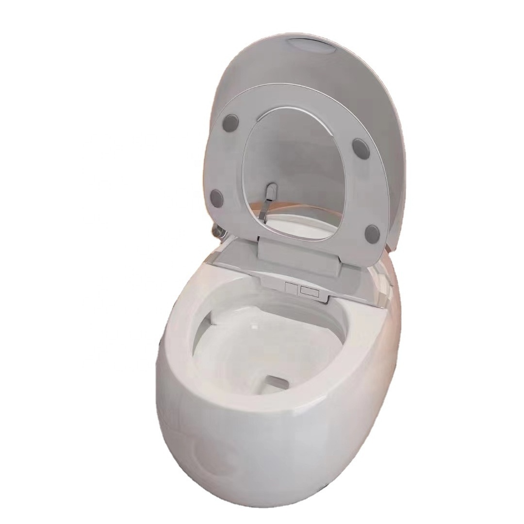 2023 Hot Sale Guangzhou Salina Factory Price Unique Good Quality Intelligent Egg Shape Luxury  Auto Smart Toilet