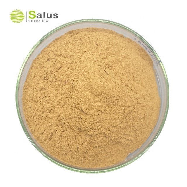 Best Price Withanolide 2.5% 5% 10% Ashwagandha Root Extract Powder