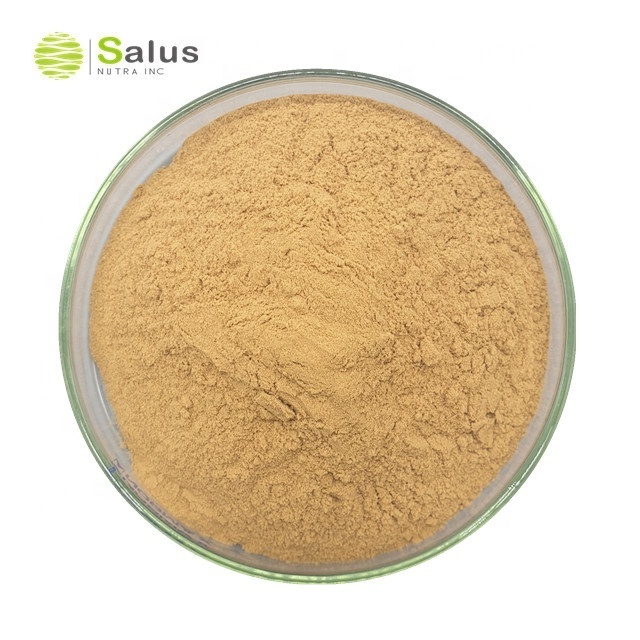 Best Price Withanolide 2.5% 5% 10% Ashwagandha Root Extract Powder