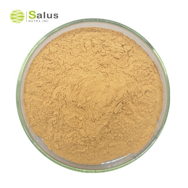 Best Price Withanolide 2.5% 5% 10% Ashwagandha Root Extract Powder