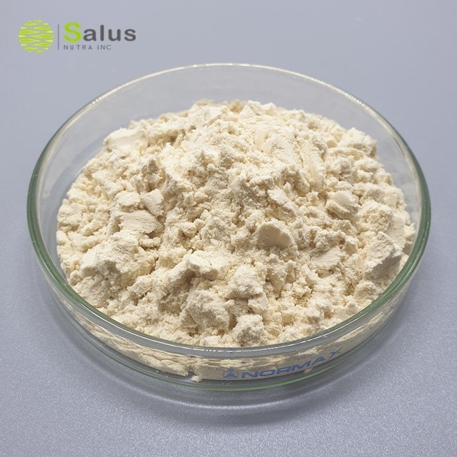 High Quality Soy Protein Isolate Powder