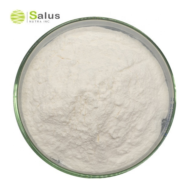 Natural White Kidney Bean Extract Powder